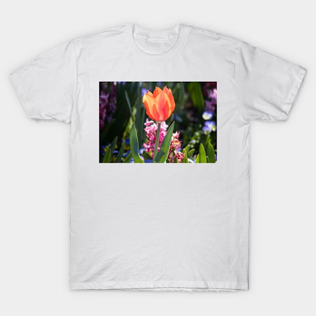 Shades of Spring T-Shirt by Jacquelie